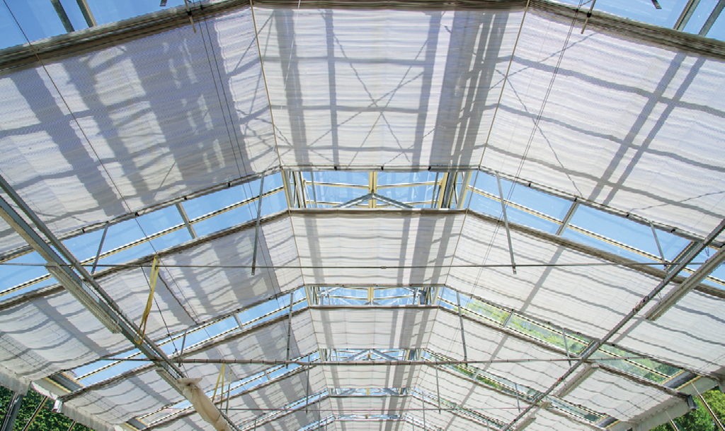 How to Improve Efficiency in a Greenhouse